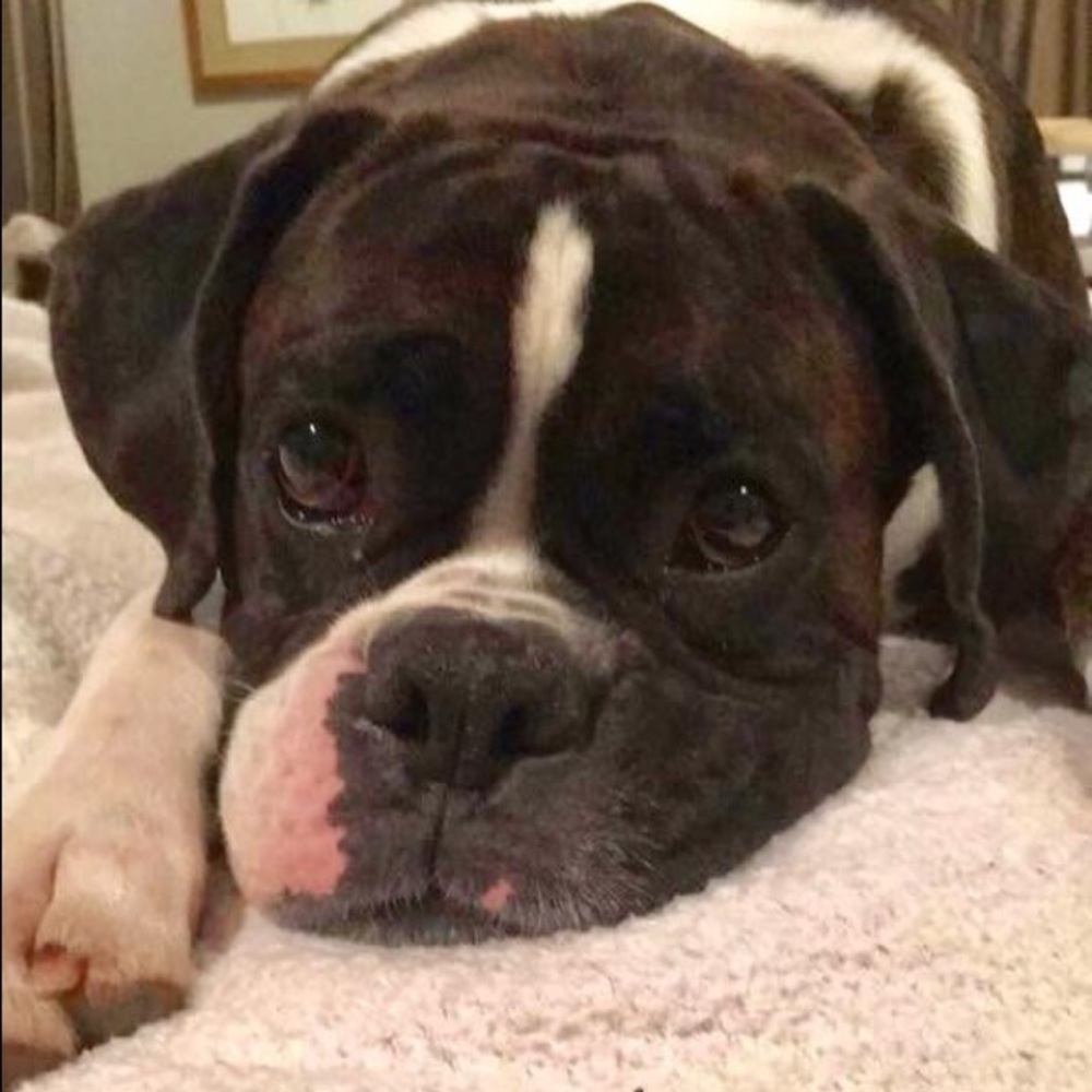 Meet your Posher, Sidney